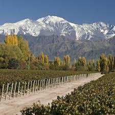 Imagem de representação do prêmio